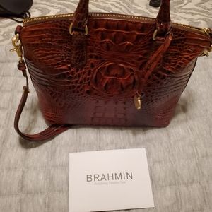 Authentic Brahmin